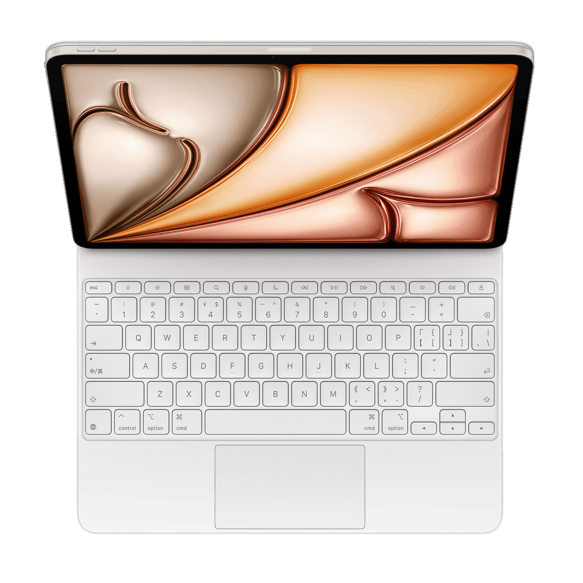 妙控键盘(适用于 iPad Air)