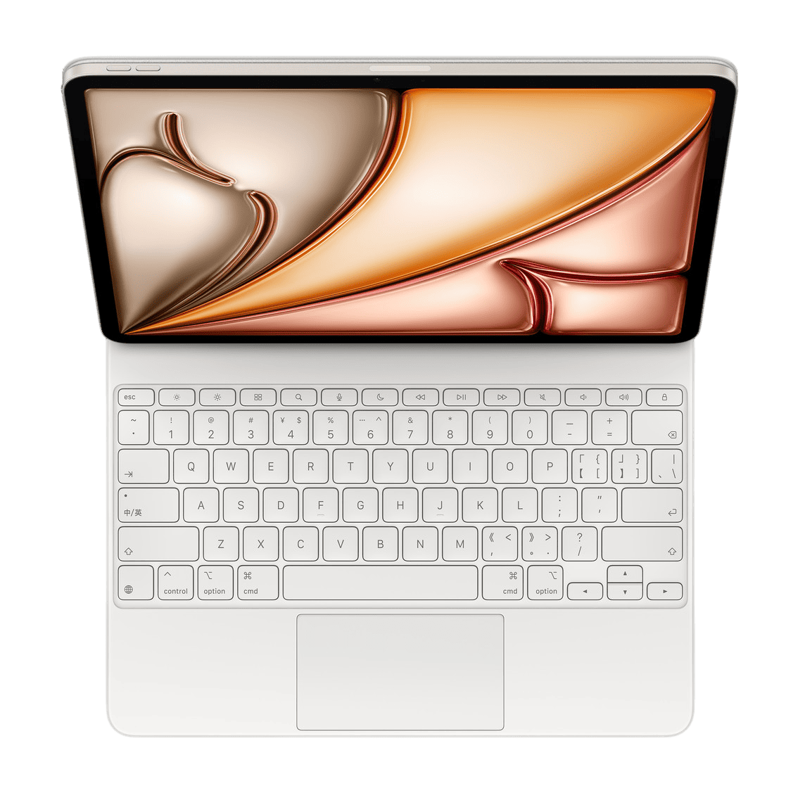 妙控键盘(适用于 iPad Air)